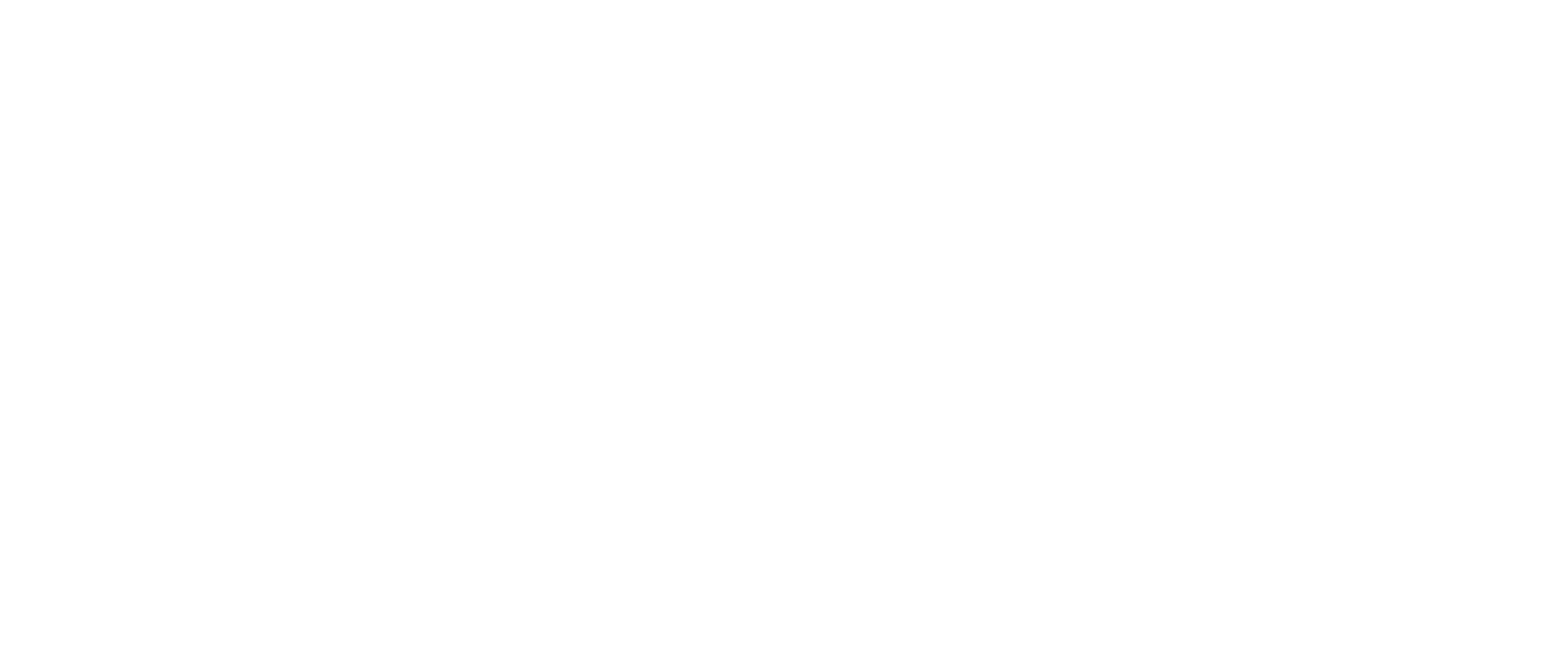 Doss Group Logo